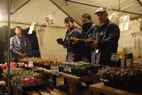 長谷寺職員による福寿草市（植木の販売会）も行われます。
