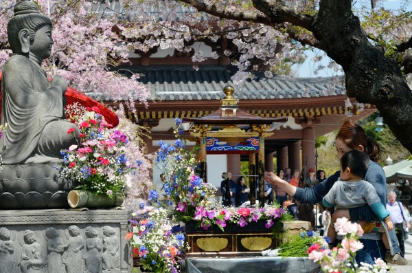 花祭り