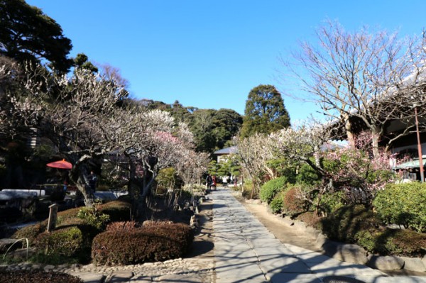 下境内通路