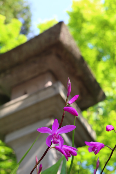 シラン