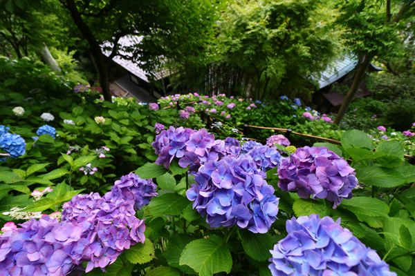 03登り中腹