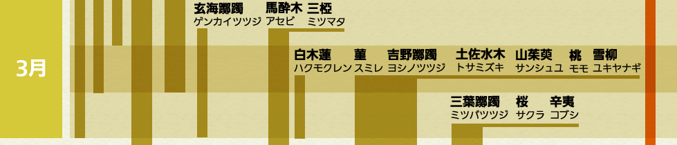 水仙 スイセン 椿 ツバキ 梅 ウメ 福寿草 フクジュソウ 黄梅 オウバイ 木瓜 ボケ 河津桜 カワヅザクラ 万作 マンサク 玄海躑躅 ゲンカイツツジ 馬酔木 アケビ 三椏 ミツマタ 白木蓮 ハクモクレン 菫 スミレ 吉野躑躅 ヨシノツツジ 土佐水木 トサミズキ 山茱萸 サンシュユ 桃 モモ 雪柳 ユキヤナギ 三葉躑躅 ミツバツツジ 桜 サクラ 辛夷 コブシ 海棠 カイドウ