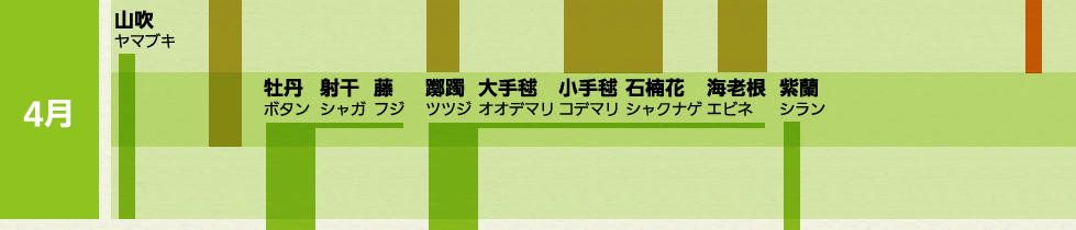 水仙 スイセン 黄梅 オウバイ 木瓜 ボケ 馬酔木 アケビ 三椏 ミツマタ 菫 スミレ 吉野躑躅 ヨシノツツジ 土佐水木 トサミズキ 土佐水木 トサミズ キ山茱萸 サンシュユ 桃 モモ 雪柳 ユキヤナギ 三葉躑躅 ミツバツツジ 桜 サクラ 辛夷 コブシ 海棠 カイドウ 椿 ツバキ 山吹 ヤマブキ 牡丹 ボタン 射干 シャガ 藤 フジ 躑躅 ツツジ 大手毬 オオデマリ 小手毬 コデマリ 石楠花 シャクナゲ 海老根 エビネ 紫蘭 シラン