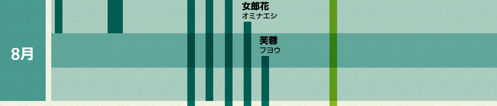 睡蓮 スイレン 凌霄花 ノウゼンカズラ 蓮 ハス 桔梗 キキョウ 木槿 ムクゲ 百合 ユリ 百日紅 サルスベリ 女郎花 オミナエシ 芙蓉 フヨウ,