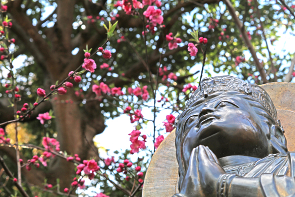 花散歩　境内の花々