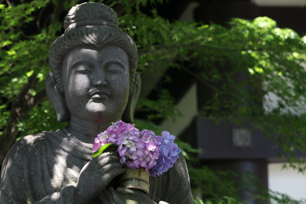 花散歩　境内の花々