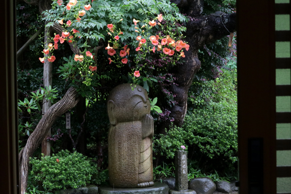 花散歩　境内の花々