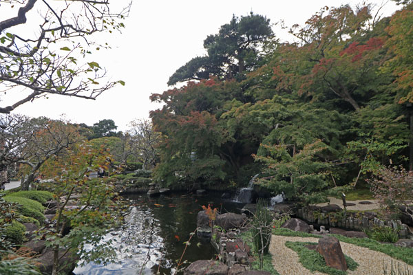 花散歩　境内の花々