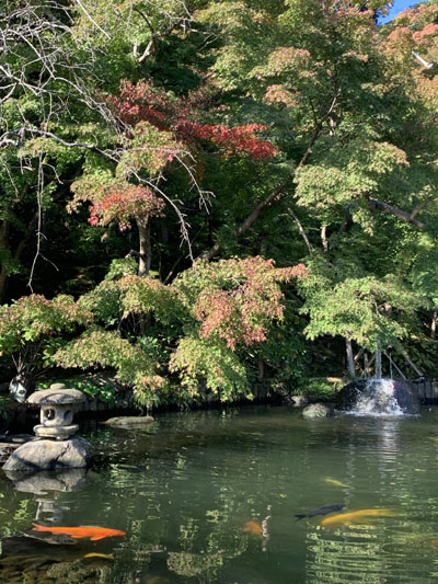 境内の花々