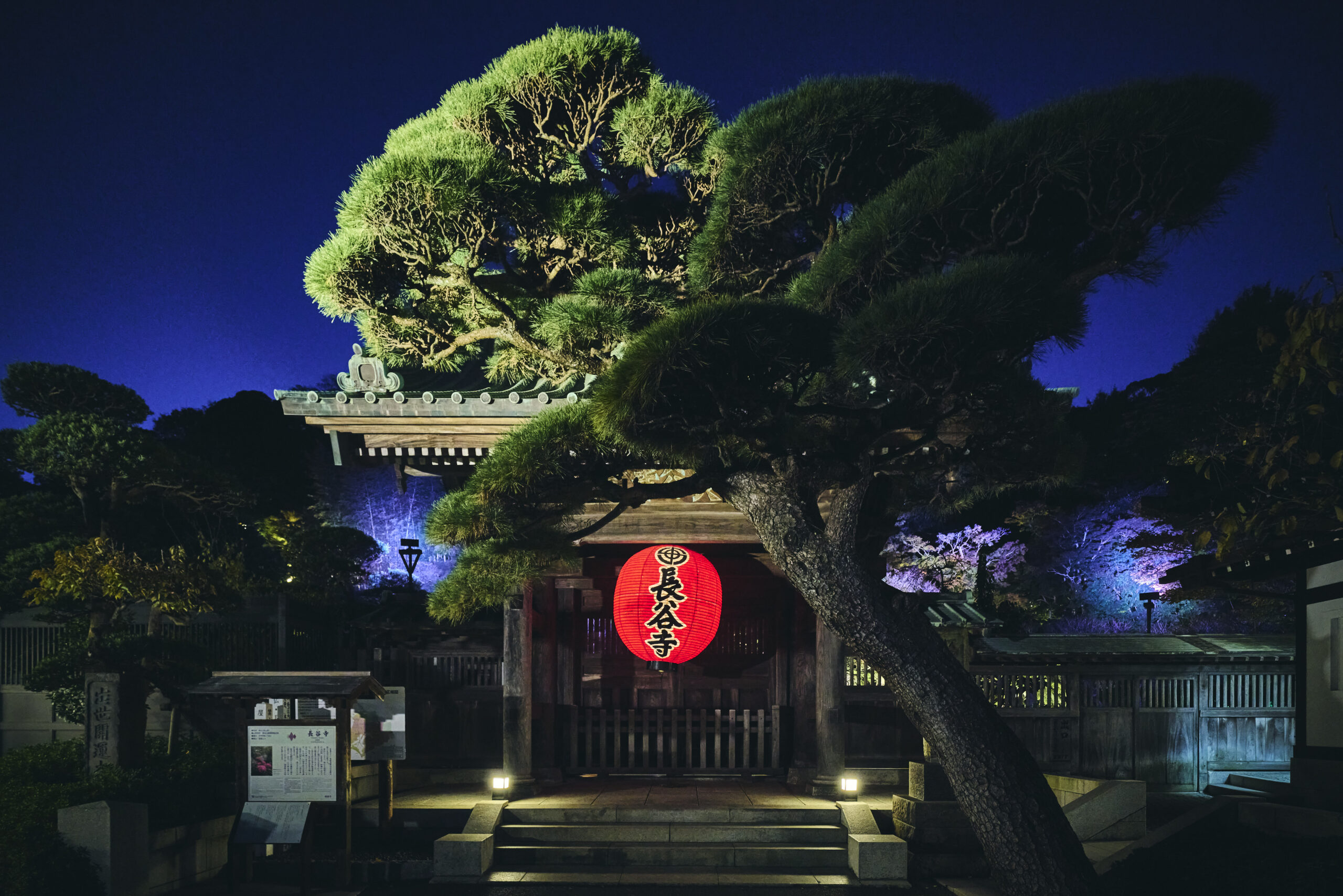 10/2(金)～4(日) 長谷寺 Night Table 2026 開催
